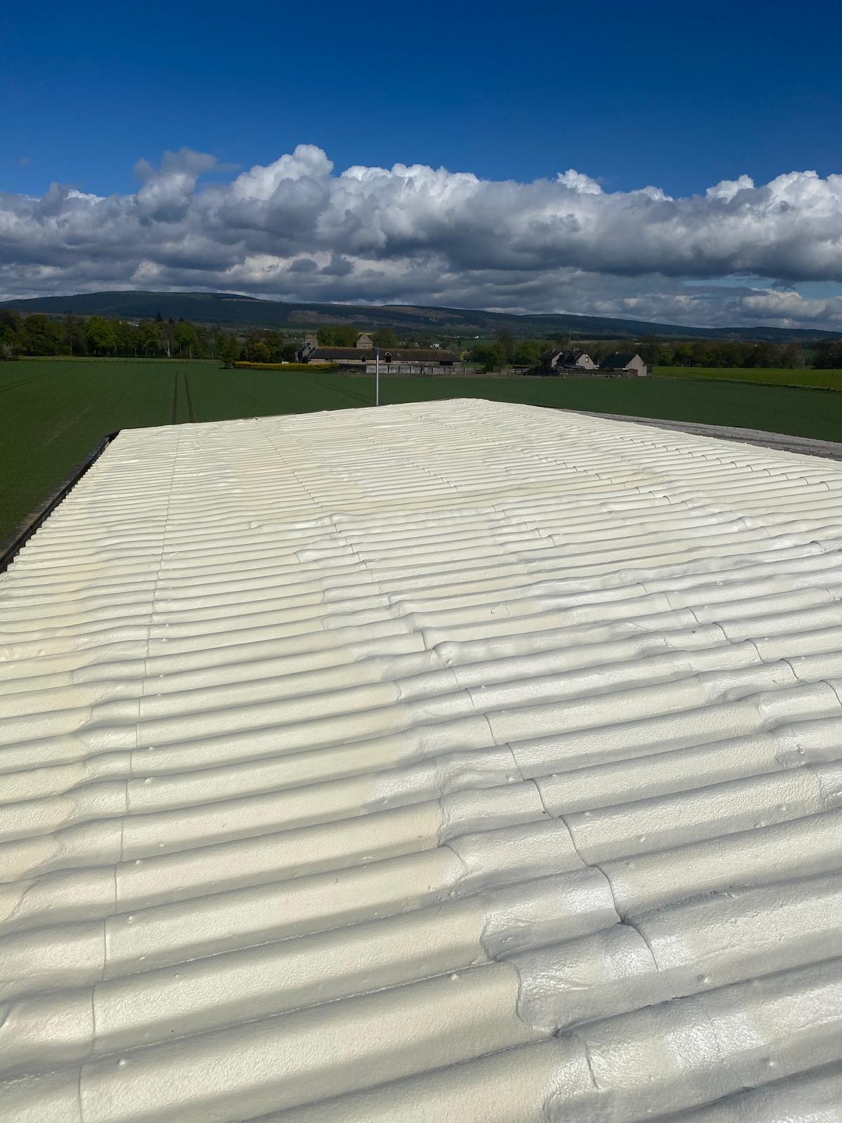 Asbestos Incapacitation